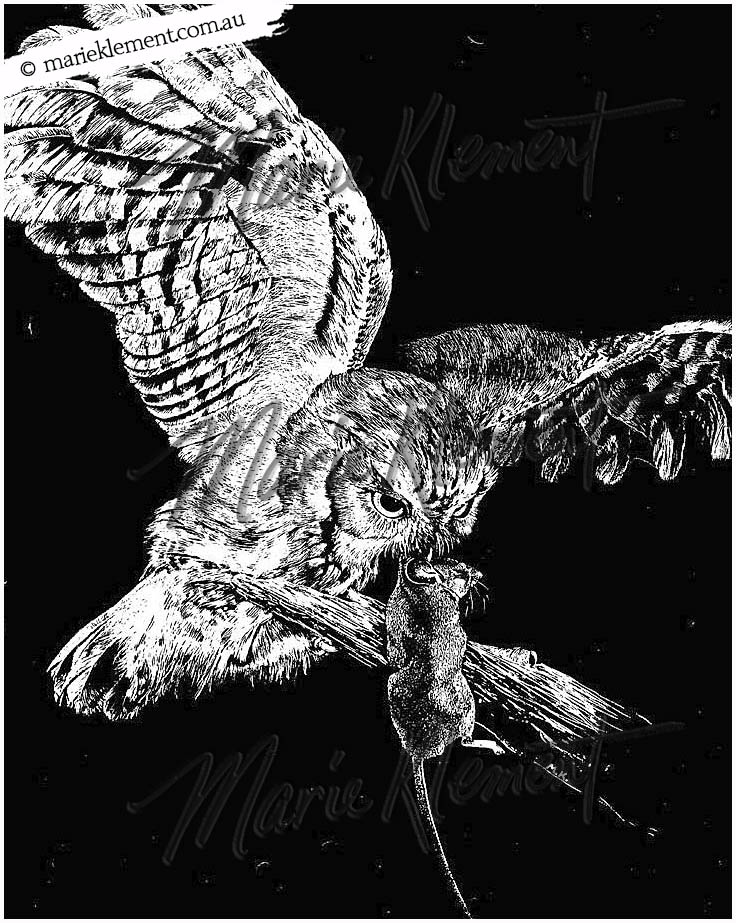 Marie Klement Owl Artist